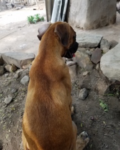 Avatar del Usuario