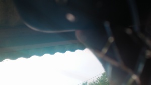 Portada Canal Fgf4564d