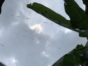Portada Canal