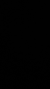 Portada Canal Flaquitor