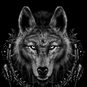 Portada Canal DarkWolf