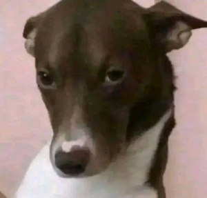 Portada Canal Herik