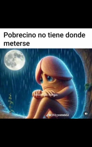 Imagen del canal porno