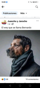 Imagen del canal porno