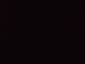Imagen del canal porno