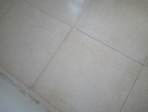 Imagen del canal porno