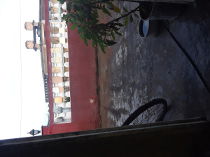 Imagen del canal porno