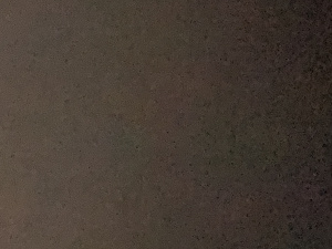 Imagen del canal porno