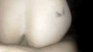 Imagen del canal porno