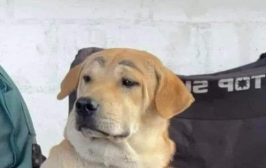 Imagen del canal porno