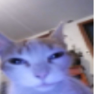 Imagen del canal porno