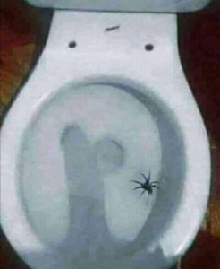 Imagen del canal porno