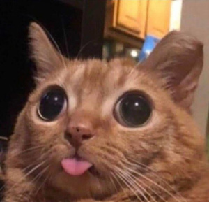 Imagen del canal porno