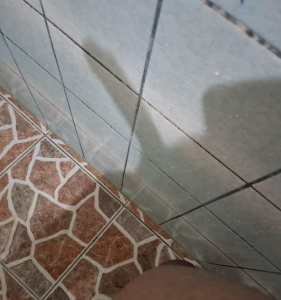 Imagen del canal porno