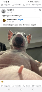 Imagen del canal porno