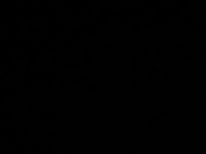 Portada Canal