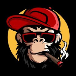 Portada Canal