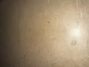 Portada Canal